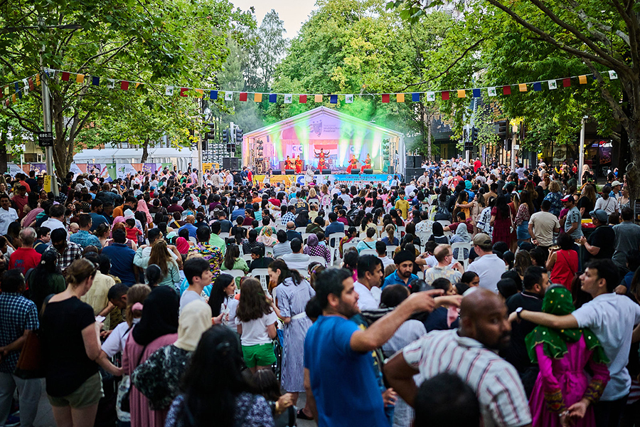 Translating and Interpreting Service (TIS National)