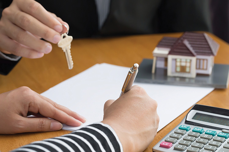 Free Interpreting Service