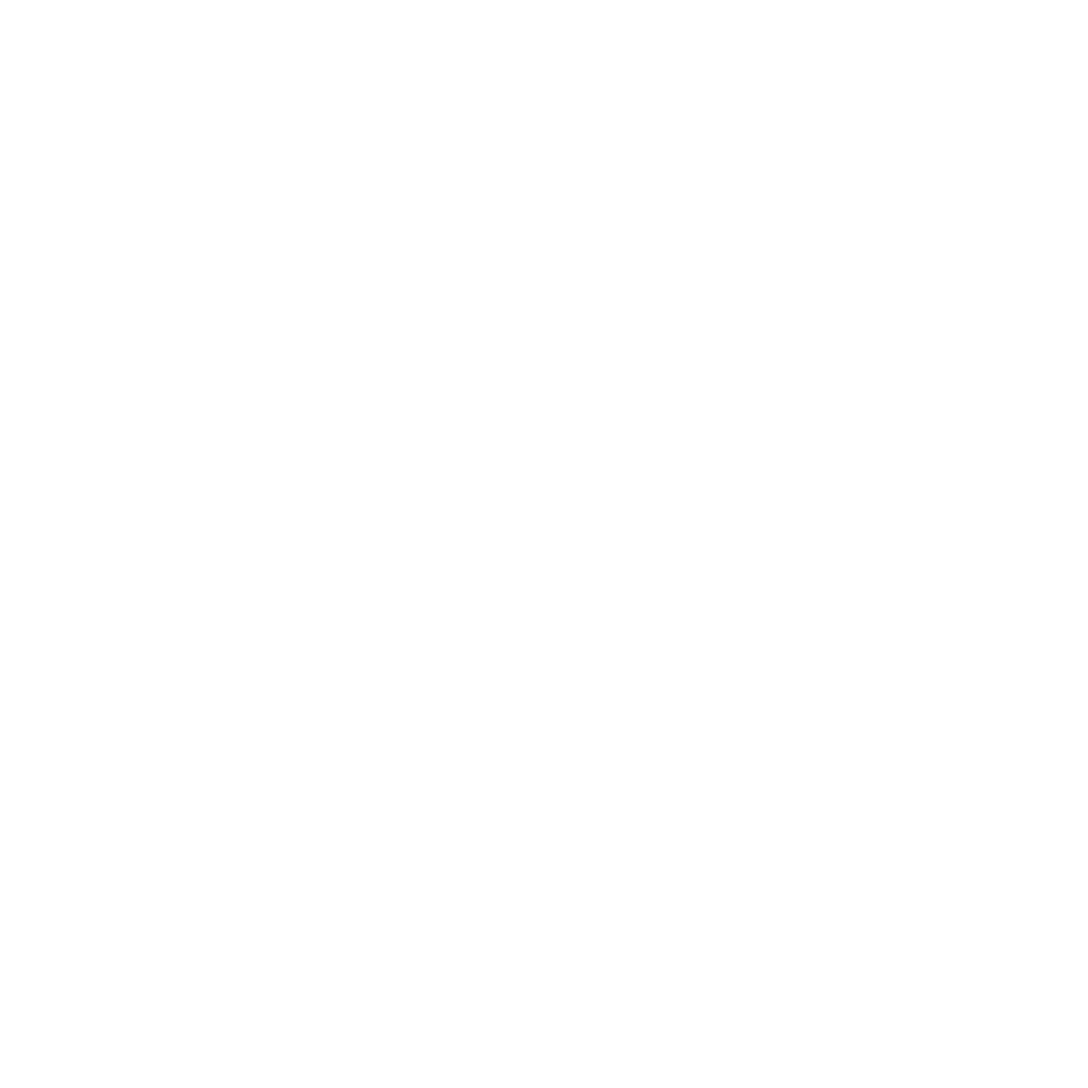 TIS Loading Logo